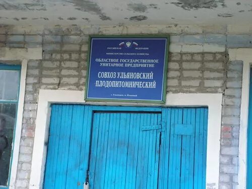 Поселок плодовый ульяновск. Плодовый (ульяновская область). Снт плодовое ульяновск. Поселок плодовый ульяновск. Плодовый (ульяновская область).