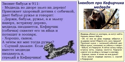 анекдот про собаку кефирчика