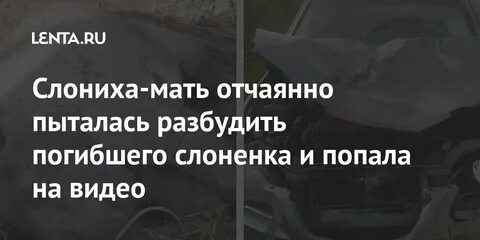 Буду молодым погибать не будите