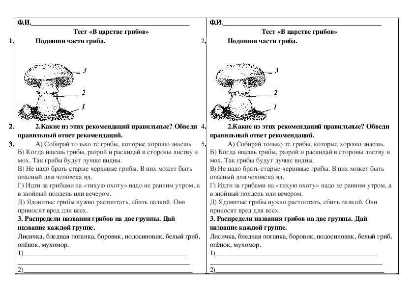 Тест грибы 5 класс биология с ответами. Тест по окружающему миру класс 2 тема грибы с ответами. Тест по окружающему миру 3 класс в царстве грибов. Задания про грибы 2 класс. Контрольная работа по грибам.