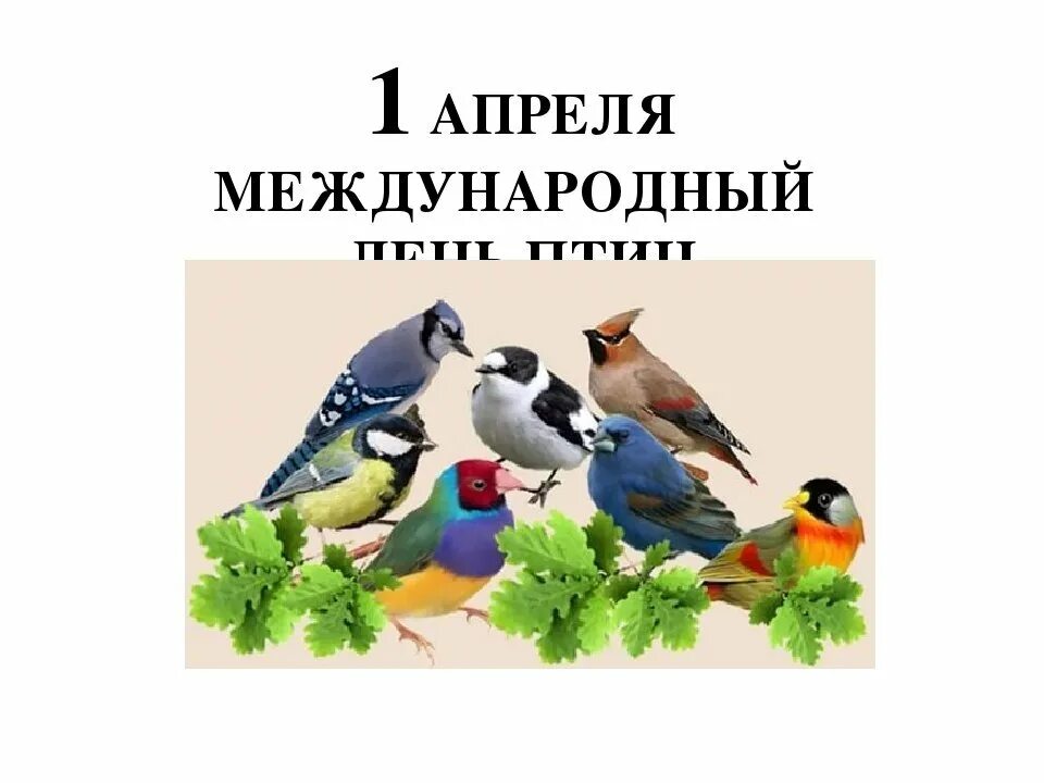 Международный день птиц отмечается 1 апреля. День птиц. Всемирный день птиц. 1 Апреля Международный день птиц. Международный день птиц для детей.