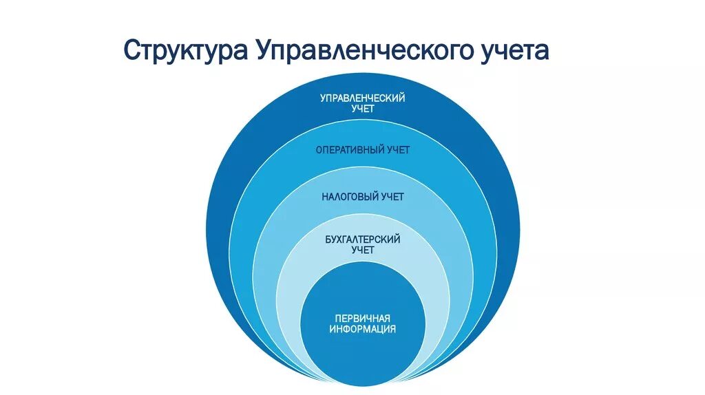 Управленческий учет финансовой деятельности. Структура управленческого учета. Управленческий учет. Схема управленческого учета. Структура отделов управленческого учета.