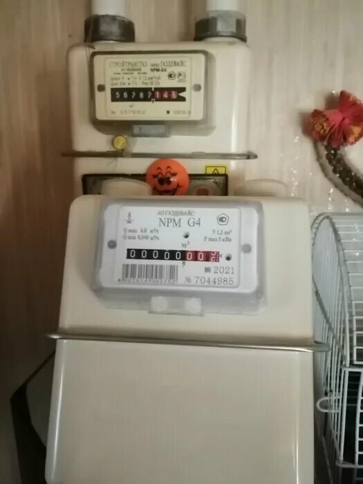 Счетчик газа npm g4 газдевайс. Омега 4 счетчик газа газдевайс. Газовый счетчик нпм g4 резьба 22. Газдевайс omega-g4 2021. Газдевайс npm g4 2022 1 1 4.