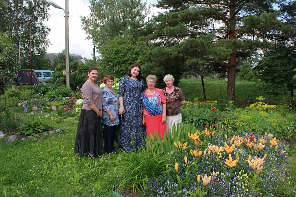 Подберезье новгородская область на карте. Ермолино новгородской. Деревня ермолино великий новгород. Деревня ермолино новгородская область. Деревня ермолино новгородская.