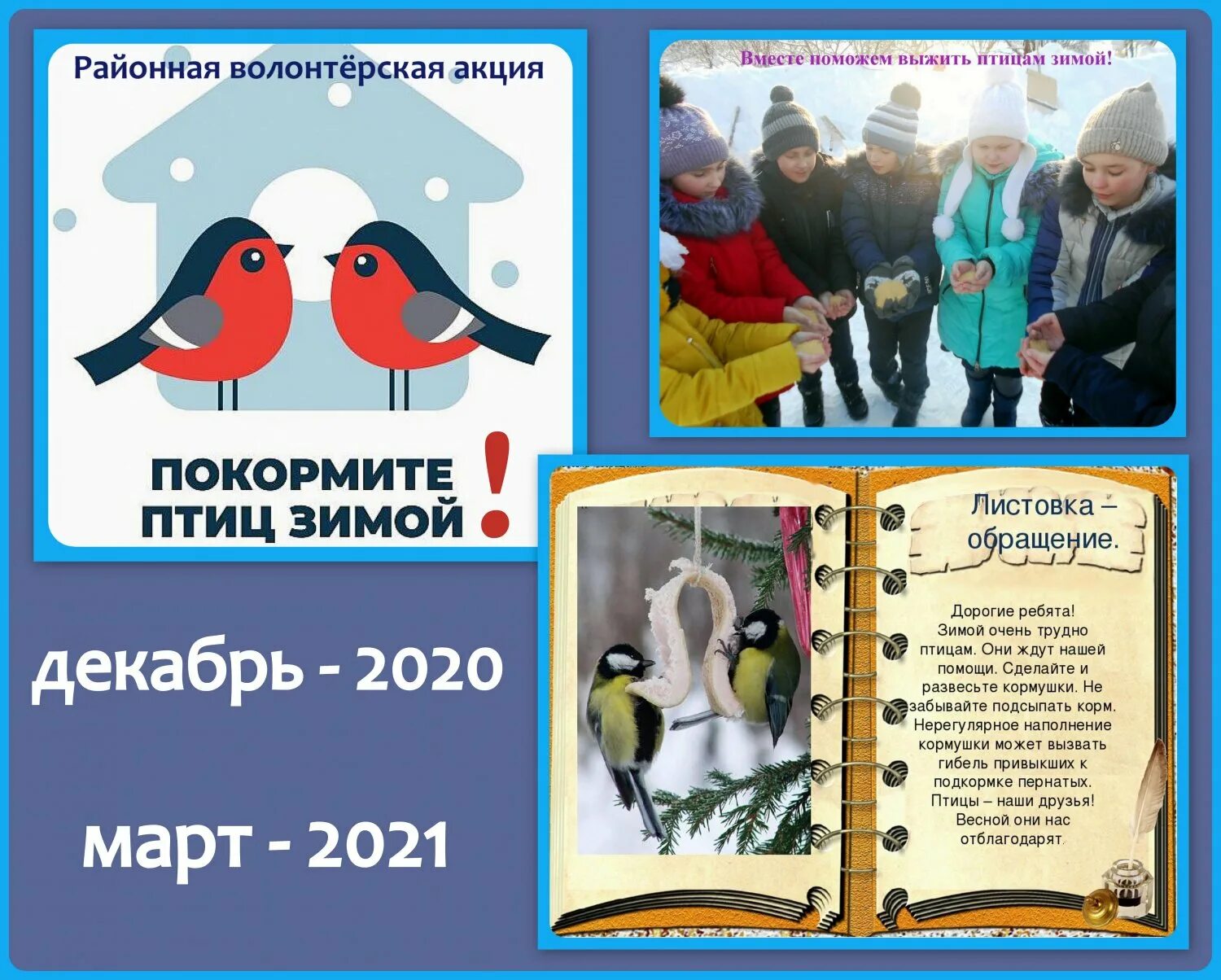 Зимующие птицы мероприятие в библиотеке. Акция Покормите птиц зимой. Акция Покорми птиц. Акция Накорми птиц. Акция Покорми птиц зимой.