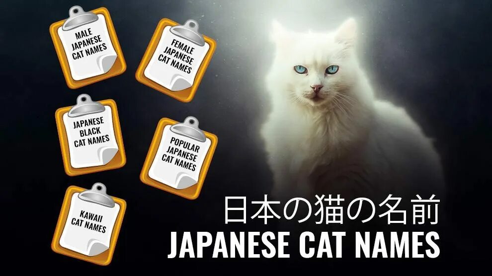 What is cats name. Japanese names. cat names. имя для кошки девочки серого цвета полосатая. names for cats.