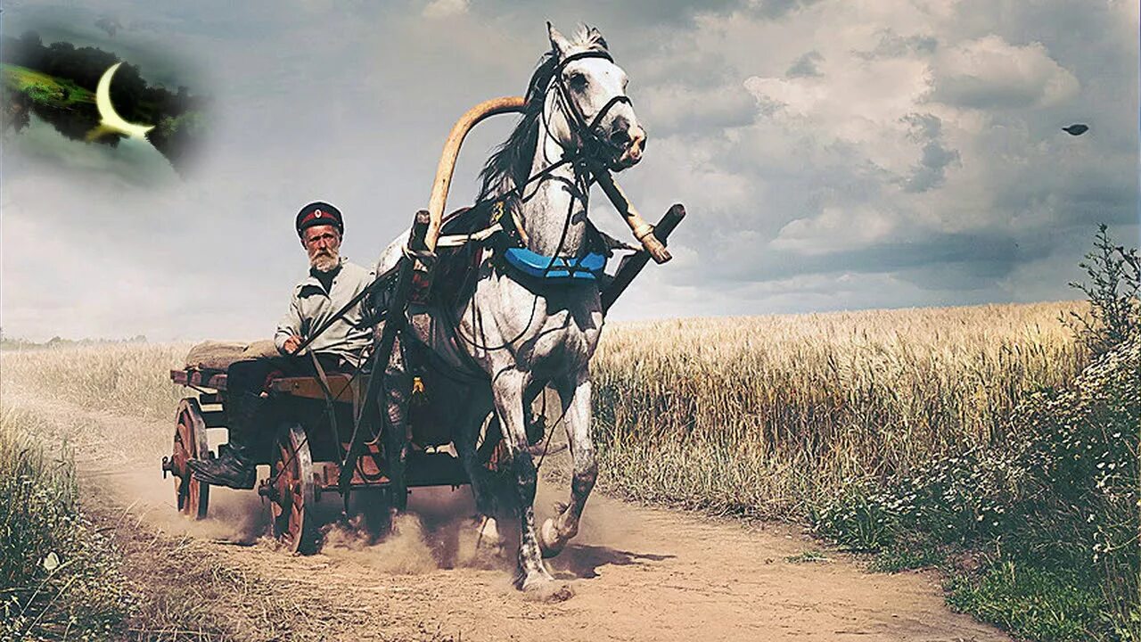 Сайт знакомств Сергиевск, Тоха, 19 - фото парня