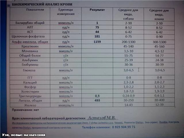 Биохимия крови где сдать. Показатель печени в биохимическом анализе крови. Биохимический анализ печени. Печеночные биохимические анализы. Анализ биохимия крови печеночные показатели.