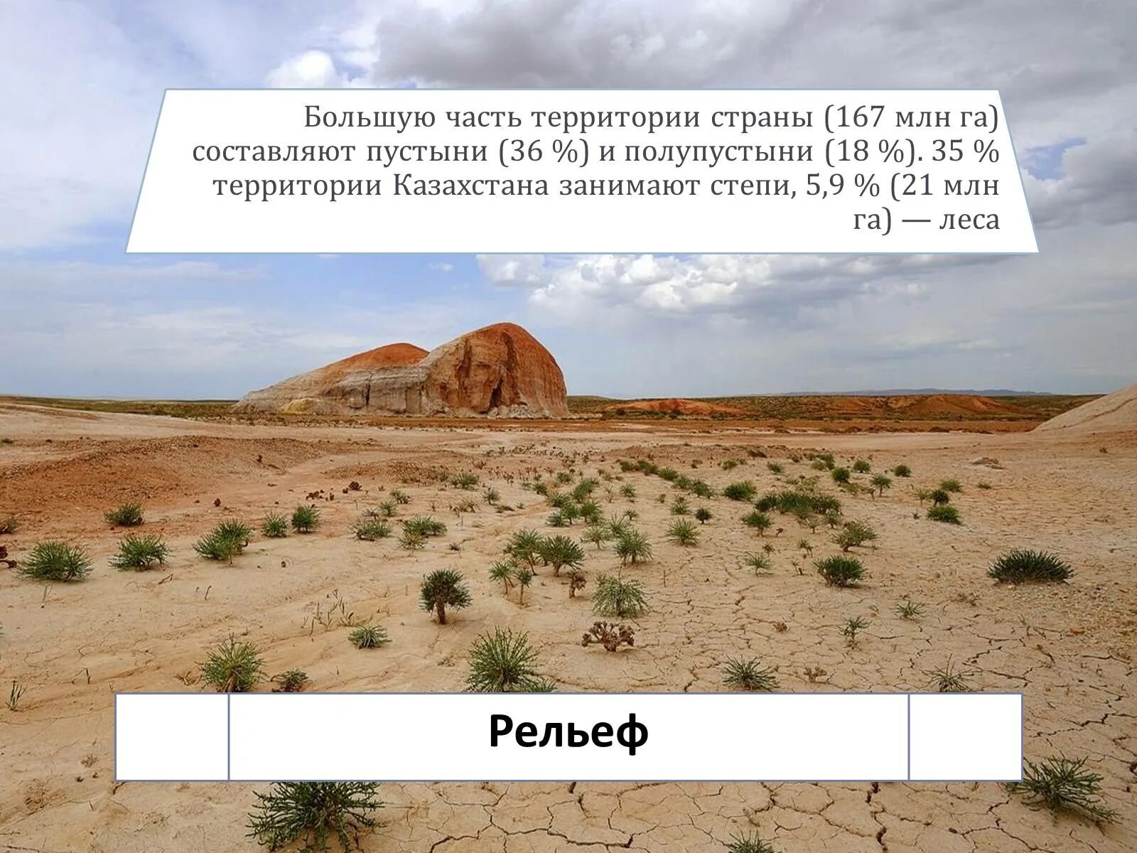 Какую площадь занимает пустыня