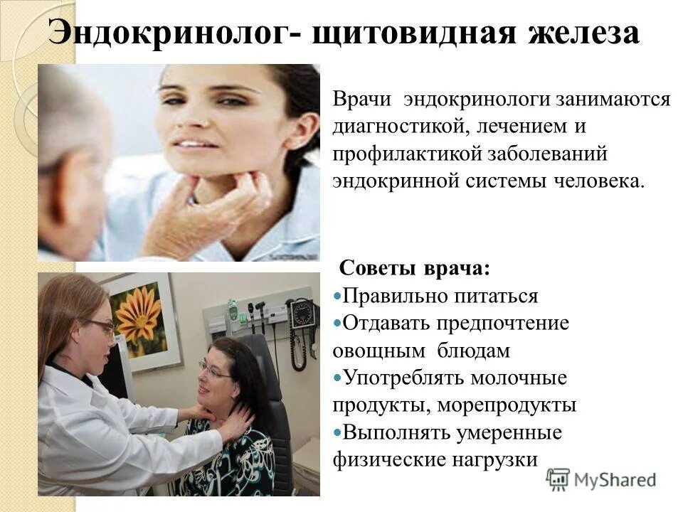 Локализация щитовидной железы. Врач простатит. Консультация врача эндокринолога. Прием врача эндокринолога. Популярные врачи потенции.