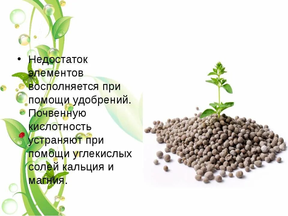 Внесение органических удобрений в почву. Недостаток навоза. Нехватка калия у томатов. Удобрения картинки для презентации. При недостатке фосфора у растений.