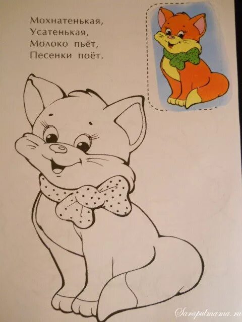 Отгадка на загадку мохнатенькая усатенькая молоко пьет песенки поет. Мохнатенькая усатенькая. Мохнатенькое усатенькое есть начнет песенку поет. Мохнатенькая усатенькая молоко пьет песенки поет. Мохнатенькое усатенькое есть начнет песенку поет.