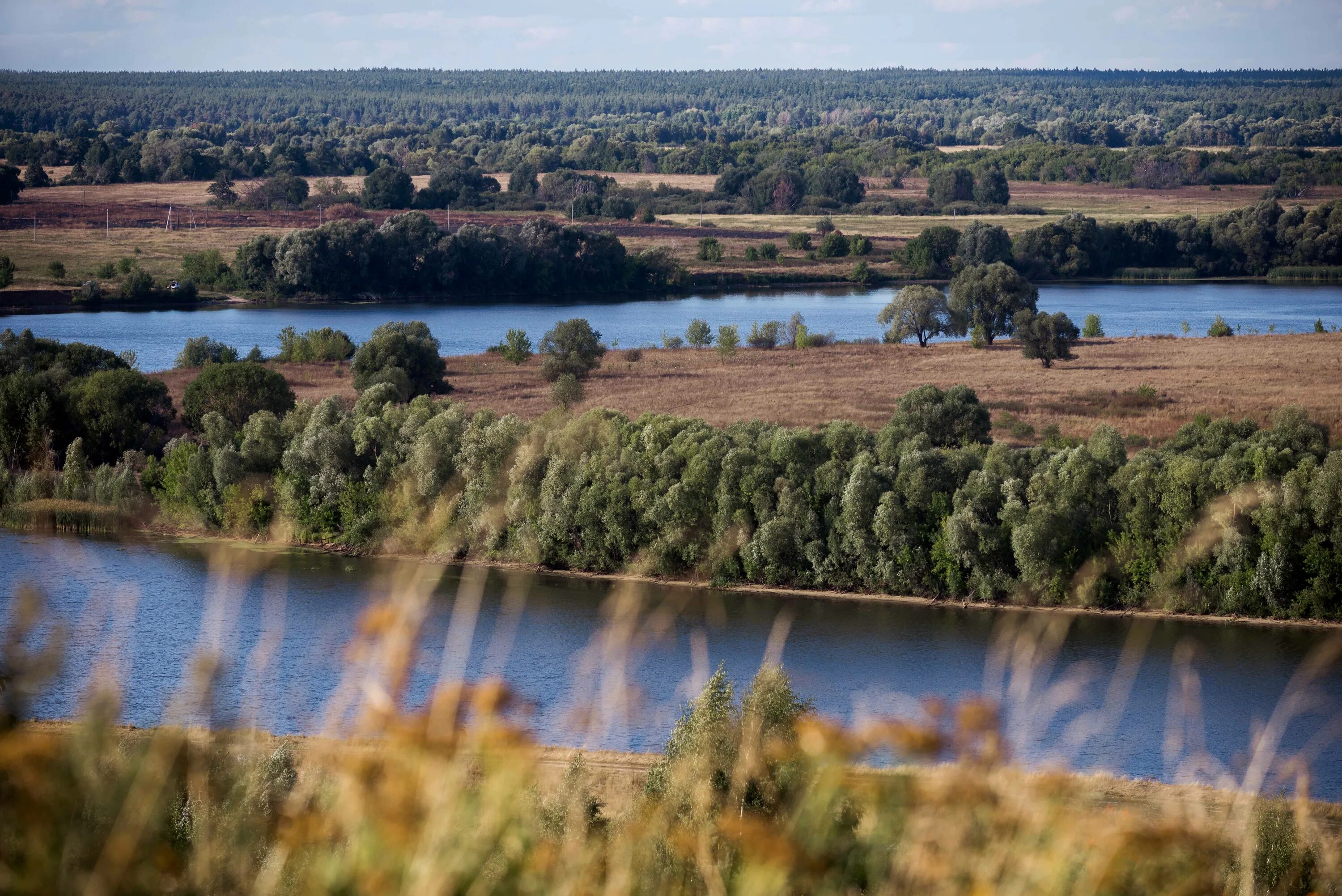 Просторы рязани. Просторы Рязанской области. Природа Рязанской области. Рязань природа красивые места. Рязанские просторы фото.