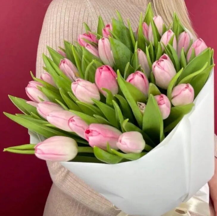суррендер тюльпан букет. букет "25 тюльпанов". тюльпаны 19 штук букет. 29 тюльпанов фото. тюльпан микс.