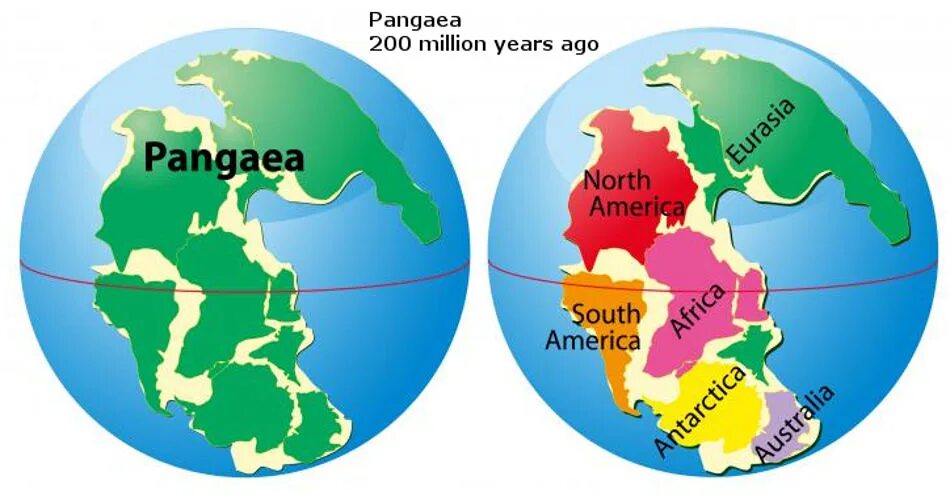 Древние материки Пангея Лавразия Гондвана. Суперконтинент Пангея. Пангея Лавразия и Гондвана. Разделение на материки. Материки начиная с самого большого