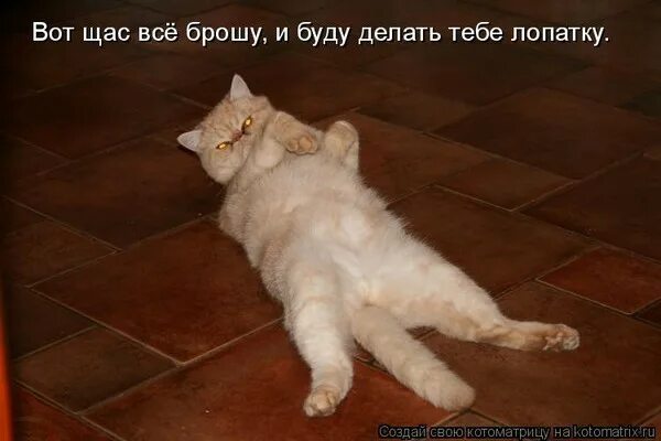 Даже если весь мир против тебя я буду с тобой. Мем бросили. Рисунки брошенных людей. Бросил пить. Бросил парень мем.