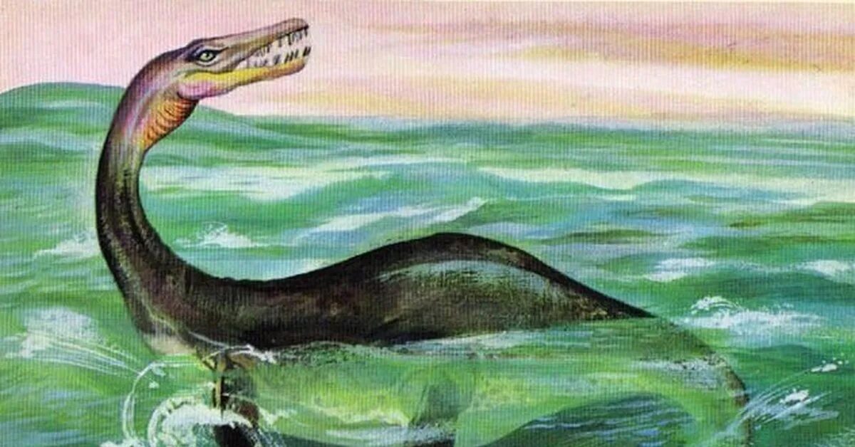 Вымершее морское пресмыкающееся с рыбообразным телом. Лохнесское чудовище динозавр. Келпи Лохнесское чудовище. Плезиозавр Несси. Плезиозавр озеро Лохнесс.