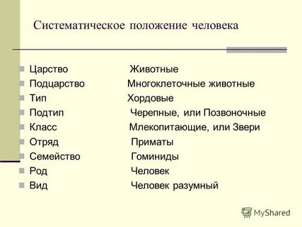 Систематическое положение человека 8 класс биология презентация