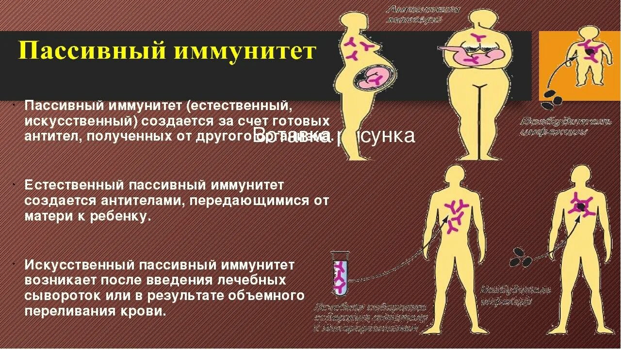 Пассивный иммунитет. Активный и пассивный иммунитет. Искусственный пассивный иммунитет. Естественые. Пассивный им. Активный иммунитет вырабатывается после введения