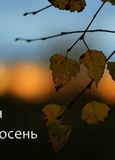 Холодная осень слушать