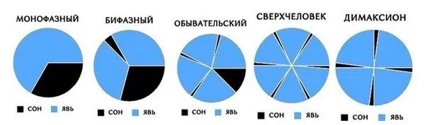 Интервальный сон. Режимы полифазного сна. разные графики сна. методики полифазного сна. монофазный и полифазный сон.