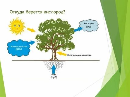 Ақ шұлықтағы секс