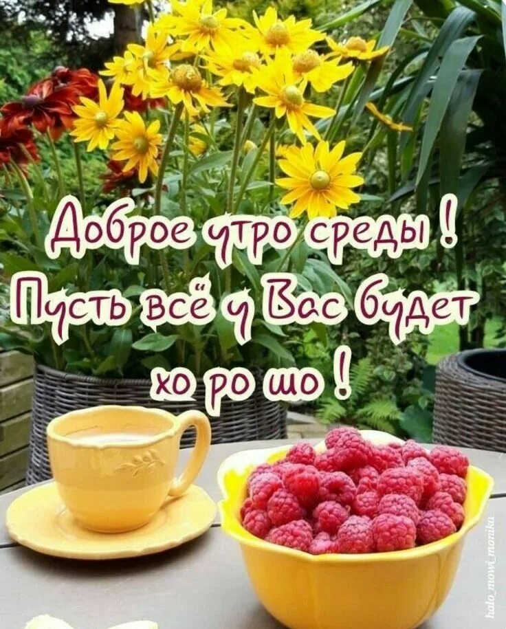 Доброго утра и отличного настроения среда. Доброе утро. доброго летнего утра и хорошего дня. добро летнее утро. доброе утро хорошего дня и прекрасного настроения.
