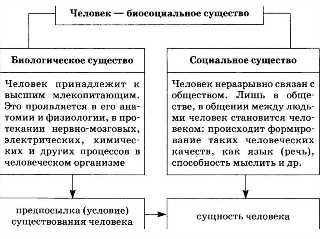 Биологическое и социальное положение. Человек как биологическое существо как социальное существо. Человек биосоциальное существо схема. Человек биологическое и социальное существо таблица. Социальная сущность человека таблица Обществознание.