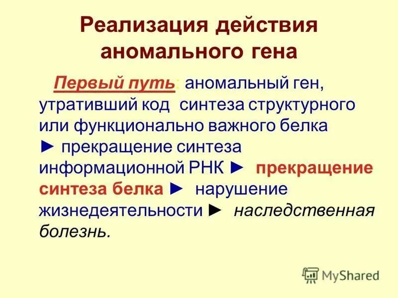 Реализующие действие это