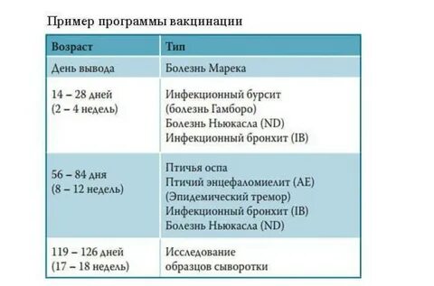 Таблица пропойки индюшат с первого дня жизни