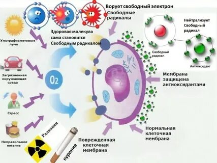 Вредные радикалы