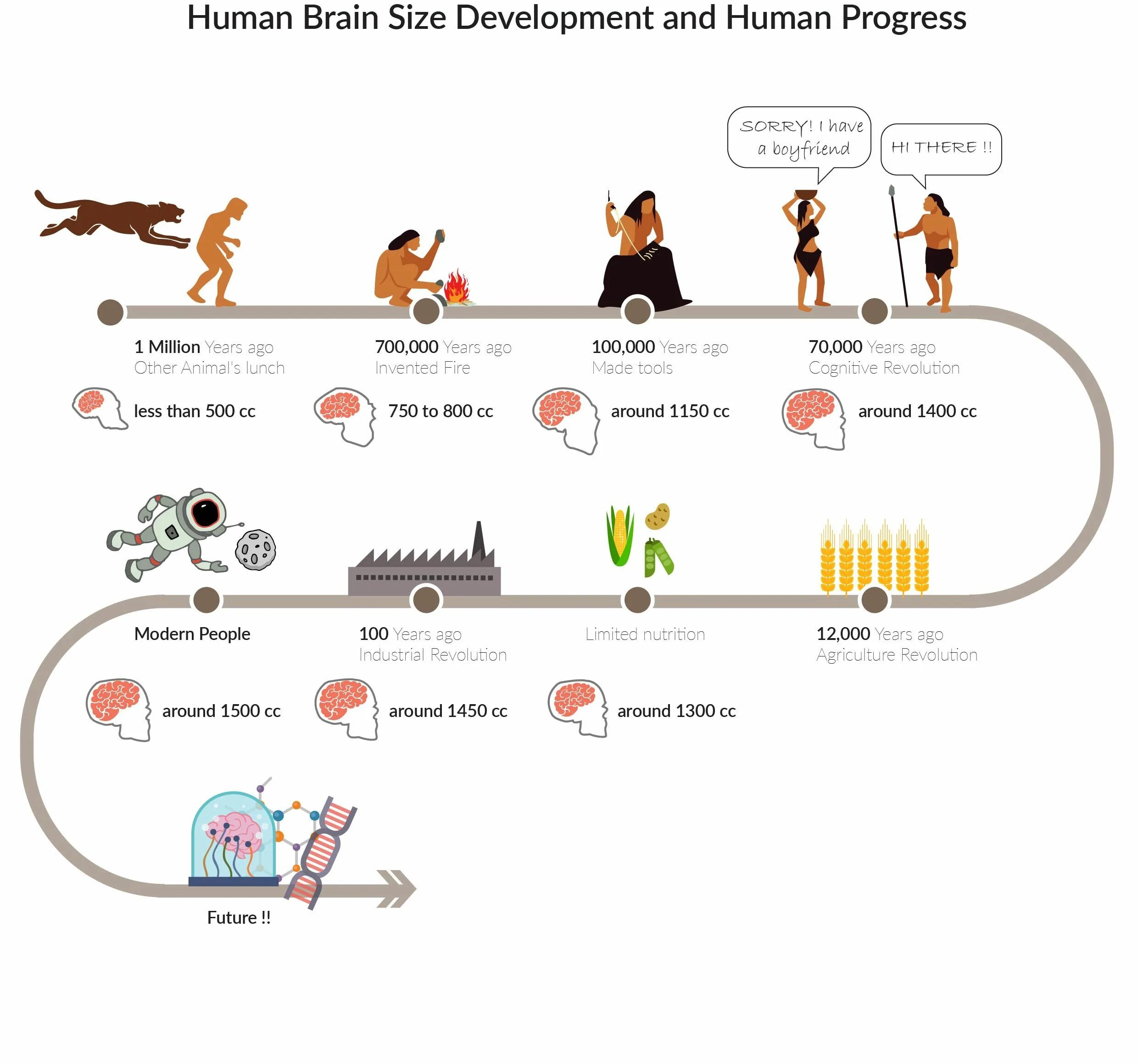 Таймлайн на уроках биологии. Инфографика Антропогенез. Human Evolution timeline. Таймлайн примеры на русском.