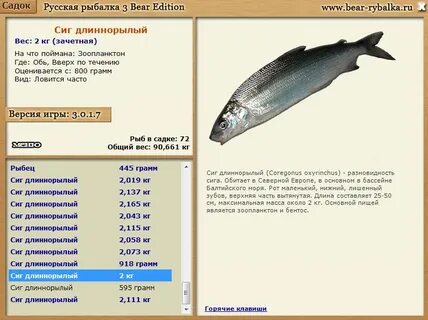 Ровный вес