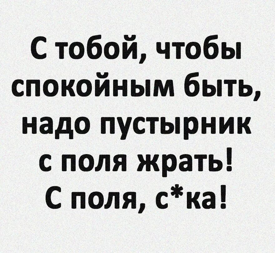С тобой чтобы спокойным быть надо пустырник. Пустырник юмор. С тобою чтоб спокойно жить пустырник. С тобой спокойным чтобы быть пустырник надо жрать картинки. Пустырник прикол.