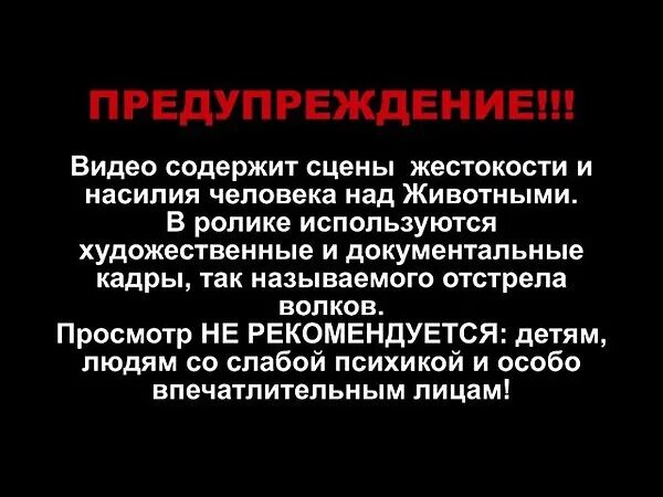 Также внимание на следующие. Предупркждениеперед фильмом. Не рекомендуется к просмотру лицам. Содержит сцены.