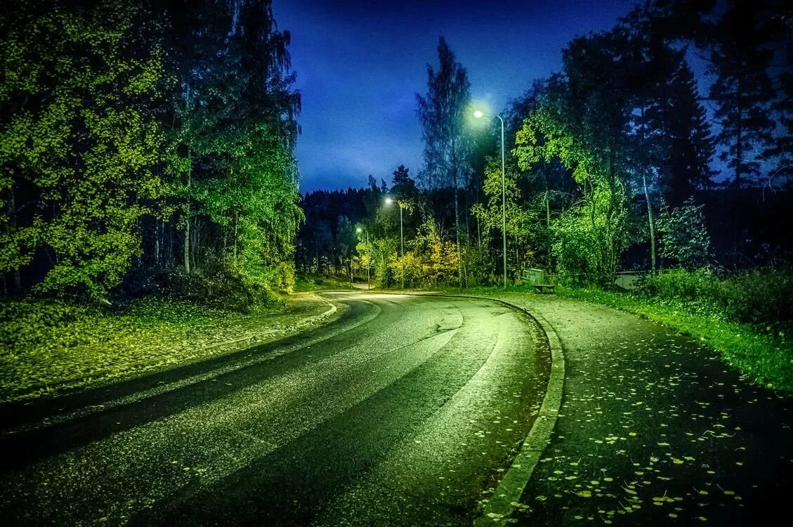 Ночью через лес. Дорога в лесу. Ночью через лес. Страшный ночной лес. Страшный лес ночью.