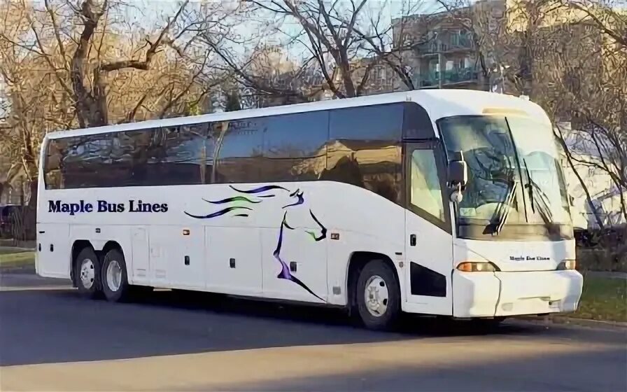 Рай тур брянск. Ооо клен. Автобус турфирма. Клен тур автобус. Клен тур брянск абхазия.
