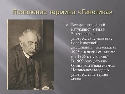Первым ввел термин обучающаяся организация