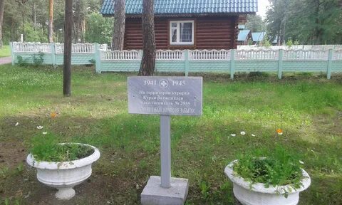 Курьи номера