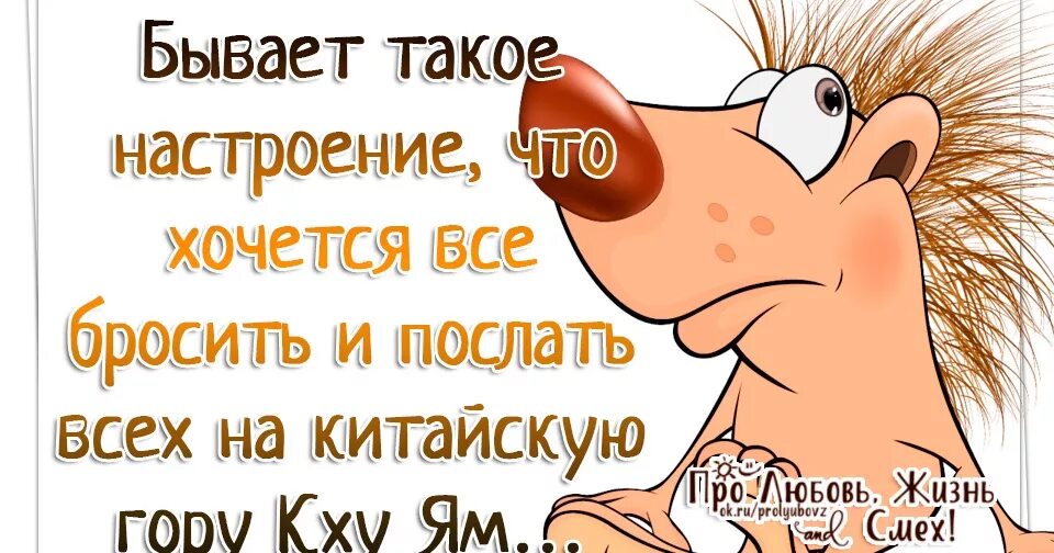 Спроси что нибудь что хочешь