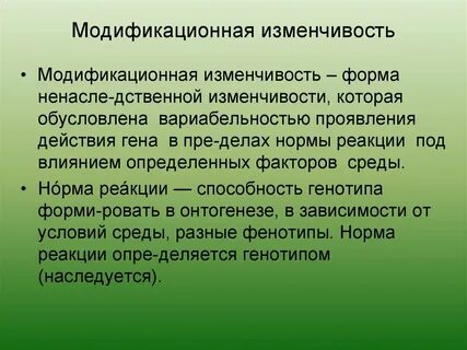 Модификационная мутация