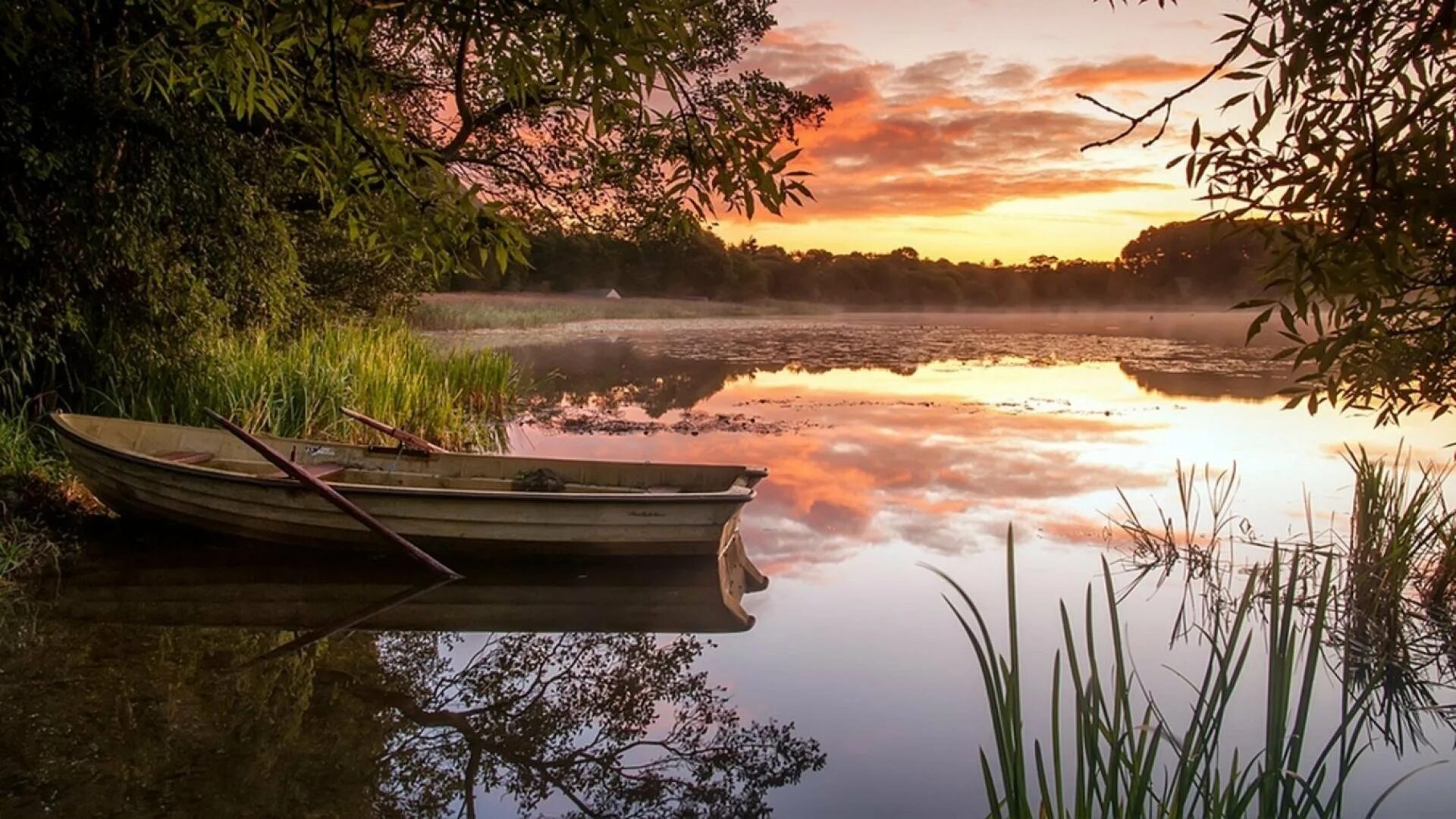 Рыбак на берегу водоема. Лодка на реке. Пейзаж с лодкой. Лодка в камышах. Лодка на реке пейзаж.