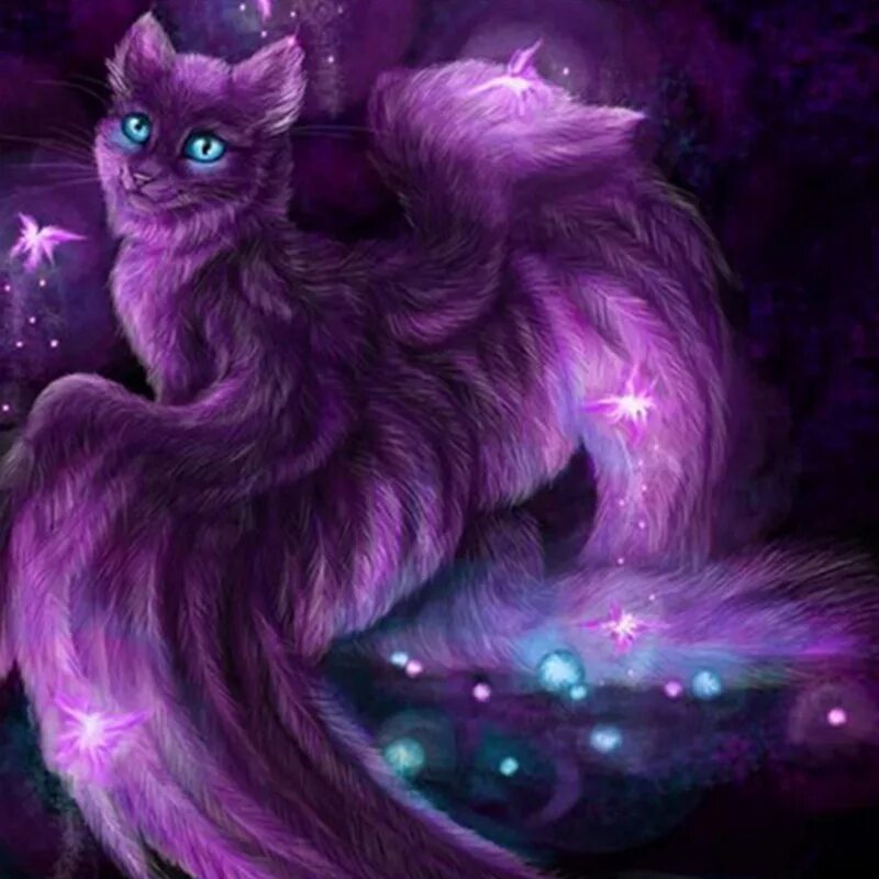 Фиолетовые коты. Фиолетовый котенок. Фиолетовая кошка. Покажи фиолетовых котиков. Коты с фиолетовыми глазами.