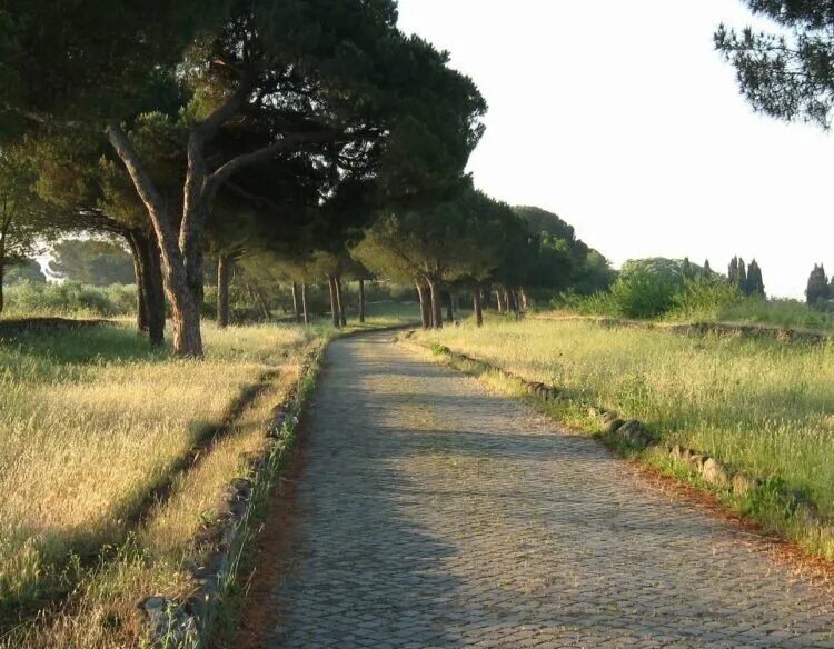 Via path