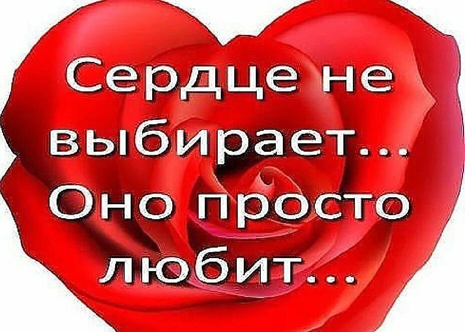 Всегда знай что тебя любят. Я люблю тебя всем сердцем. сердце я тебя люблю. сердце для любимой. люблю тебя всем сердцем любимый.