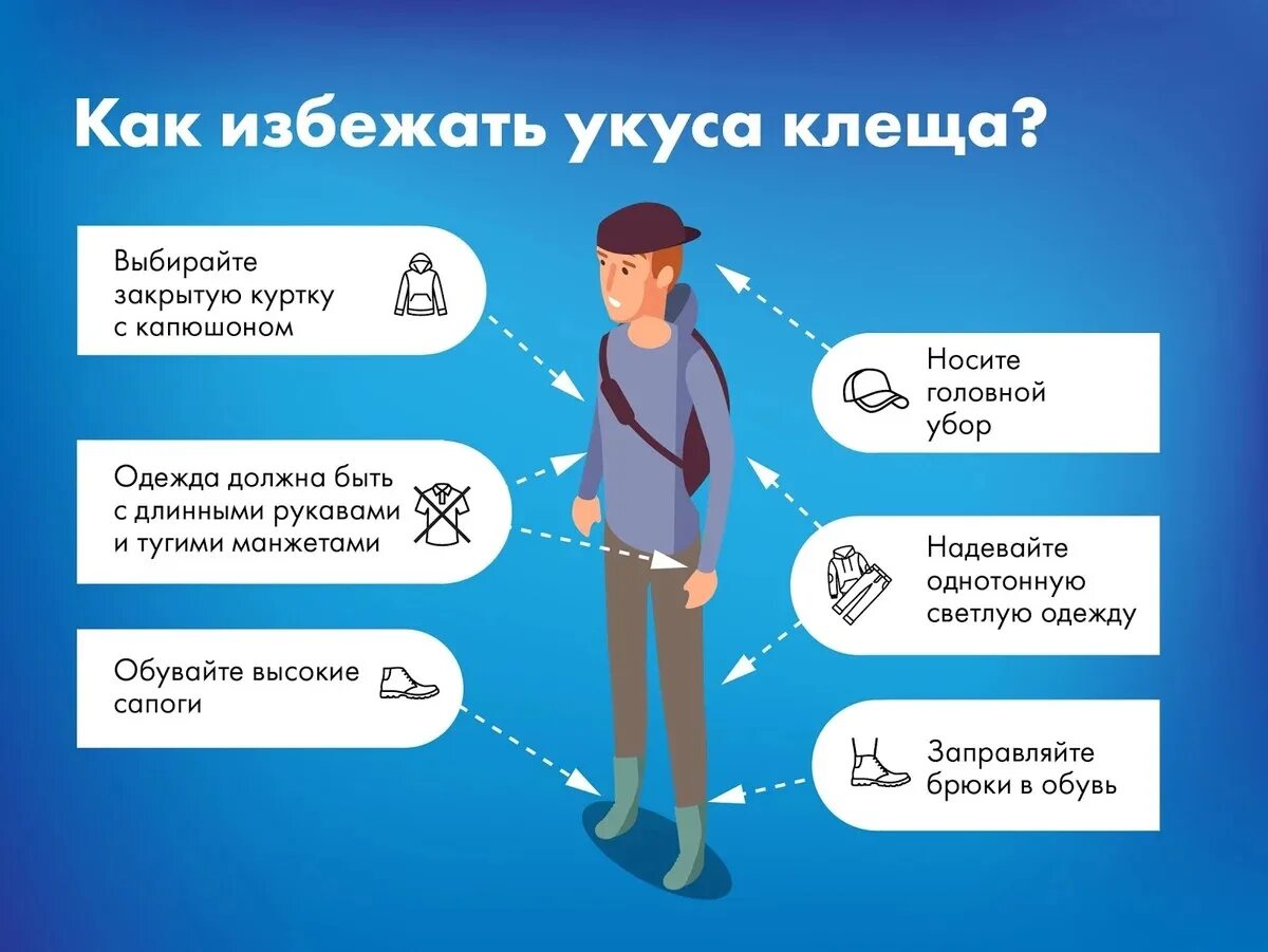 Оформить страховку от клеща. Страховка от клещей. антиклещ страховка. реклама страховки от клеща. страхование от укуса клеща.