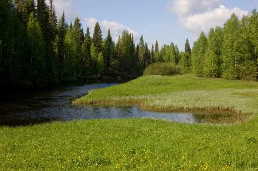 весляна приток камы. река весляна пермский. устье реки весляна. весляна приток камы. река весляна республика коми.