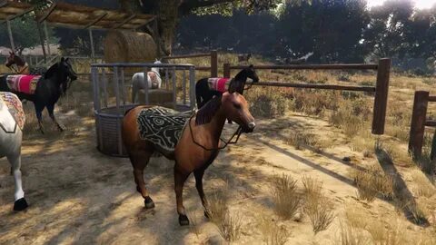 The farm 5