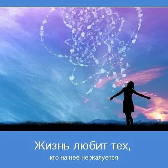 Жизни любящего