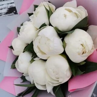Белых пионов 40 процентов розовых 58